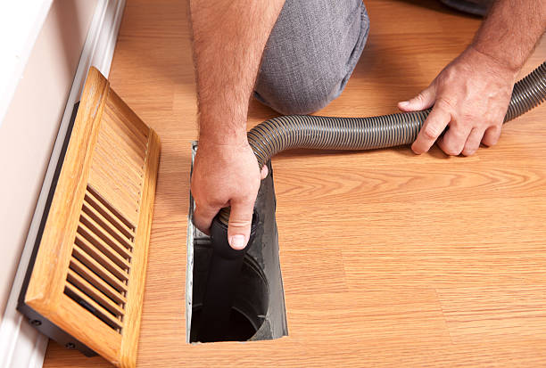 Best Air Duct Mold Removal  in San Tan Valley, AZ