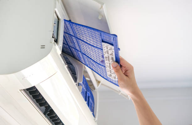 Air Duct Mold Removal in AZ